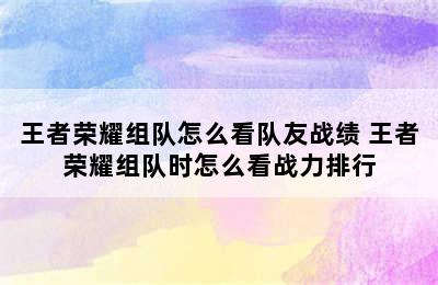 王者荣耀组队怎么看队友战绩 王者荣耀组队时怎么看战力排行